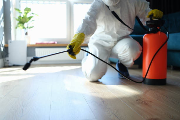 Reliable Sewage Cleanup contractor in Maywood, CA by Trauma Clean Pros